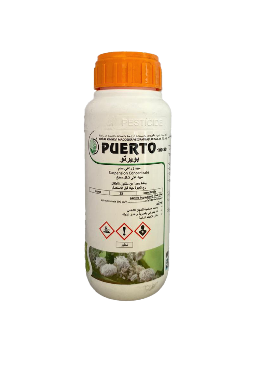 PUERTO 100 SC